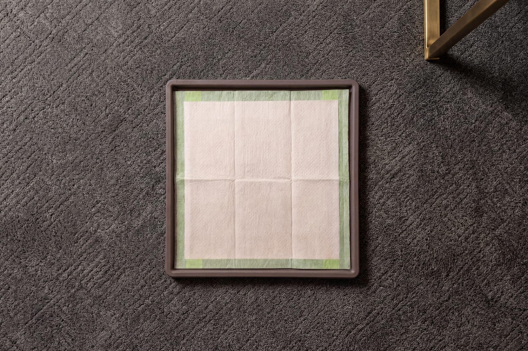A compact FloorMate potty station with a fresh Pee Pad, viewed from above