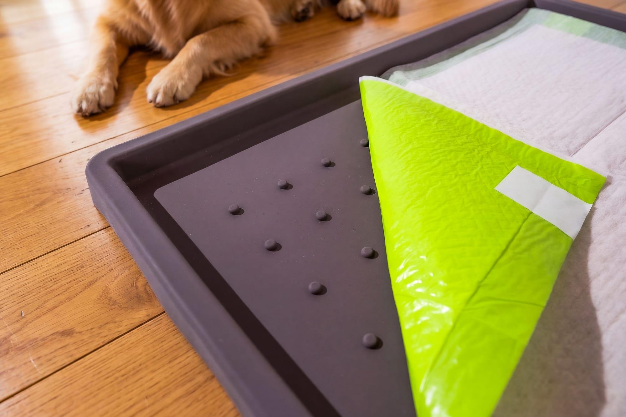 Peeling a used Pee Pad off the FloorMate for a 30-second swap