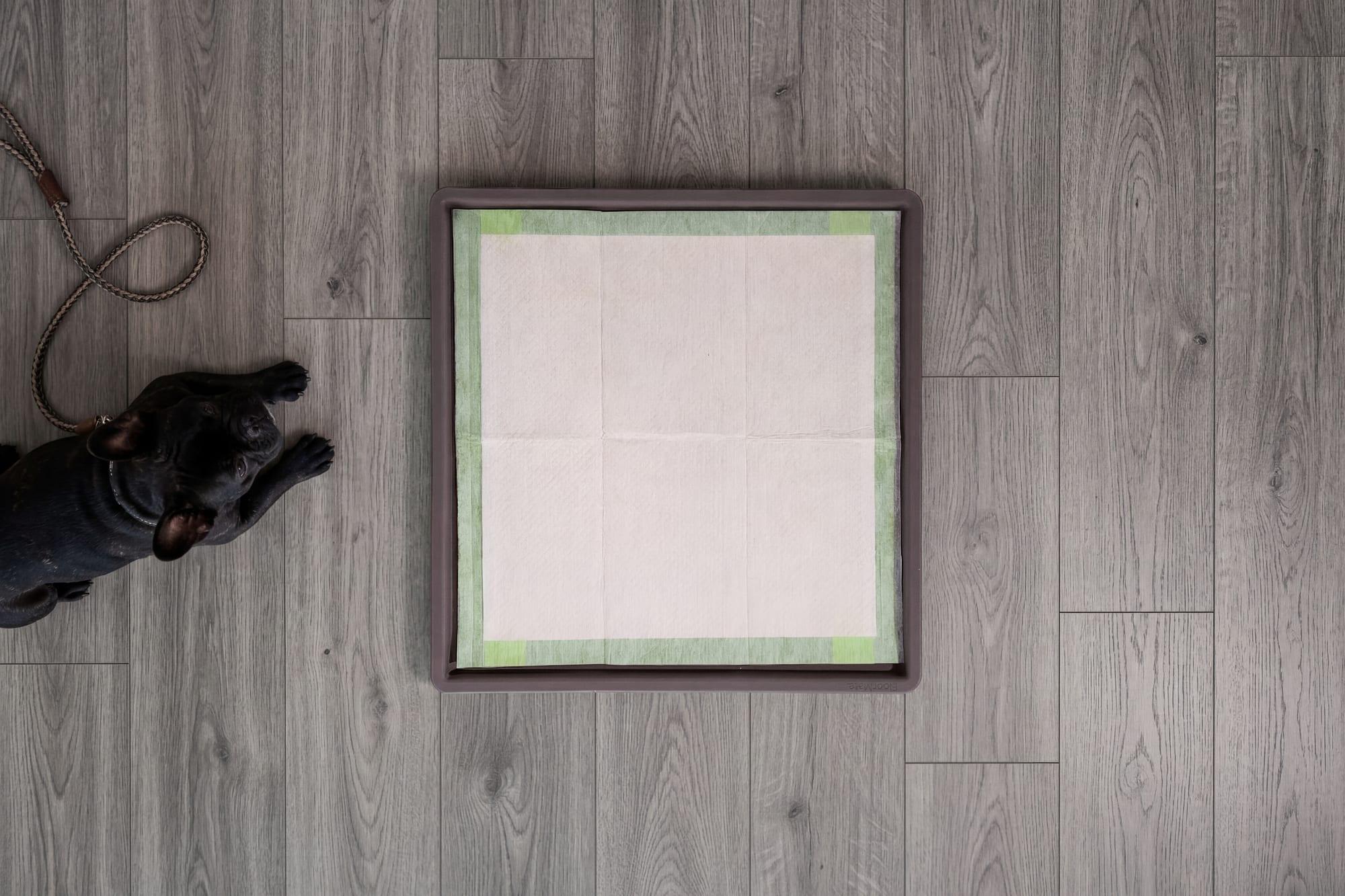 A fresh Pee Pad sitting flat inside the FloorMate on a wood floor