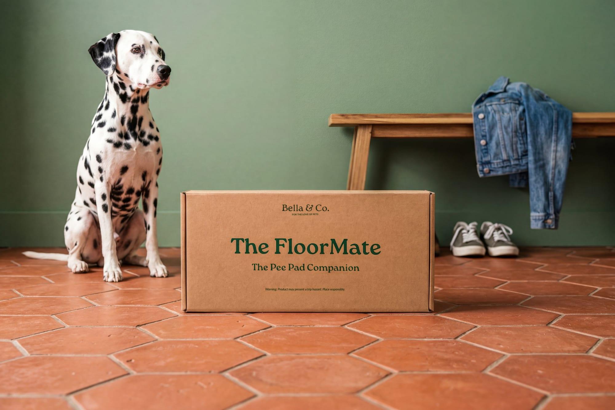 A dalmatian pausing beside a FloorMate box in a hallway