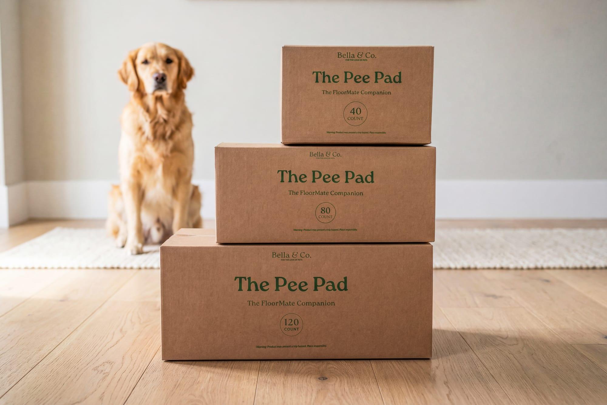 A golden retriever sitting behind a stack of Pee Pad boxes