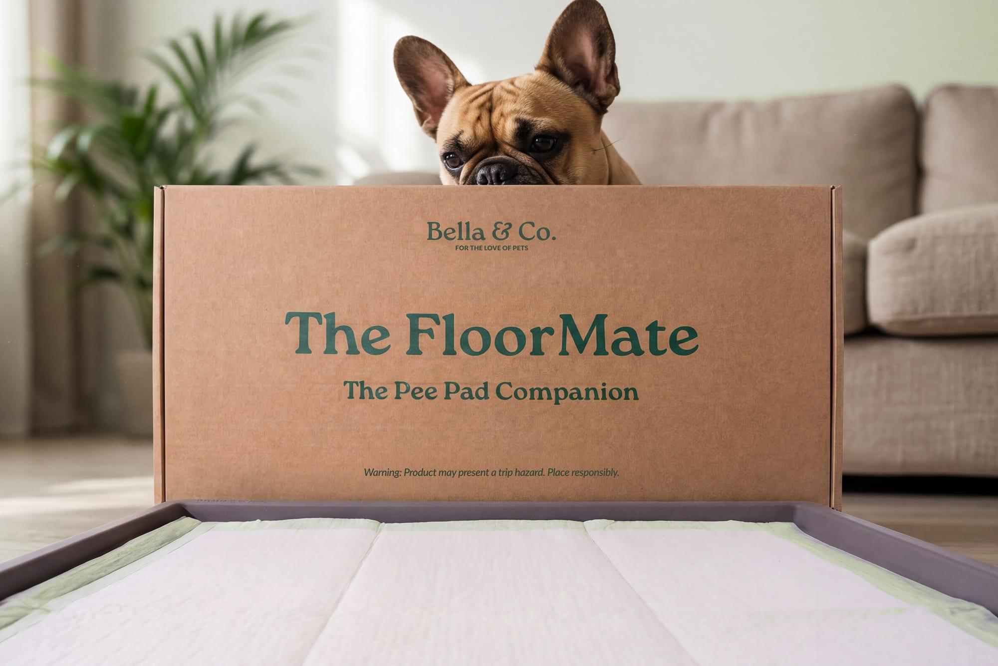 Potty Training an Adult Rescue Dog: A Patient, Proven Plan